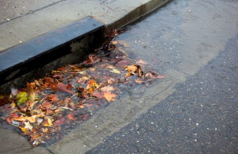 Hidden Underground: Why Real Estate Agents Flag Catch Basin Issues Before a Sale - iNformed Now