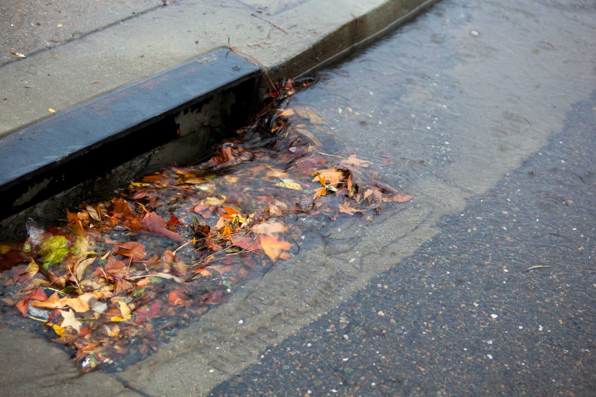 Hidden Underground: Why Real Estate Agents Flag Catch Basin Issues Before a Sale - iNformed Now